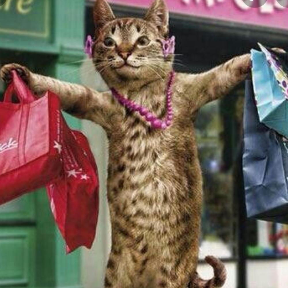 Meet your Posher, Marcee